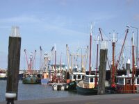 jachtverhuur den oever ijsselmeer waddenzee