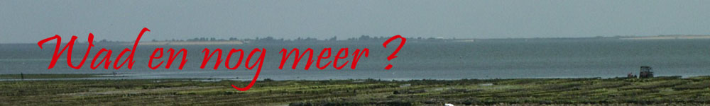 Welkom bij Bootverhuur Wadennogmeer